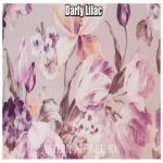 Darly Lilac
